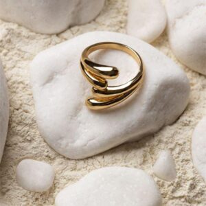Anillo